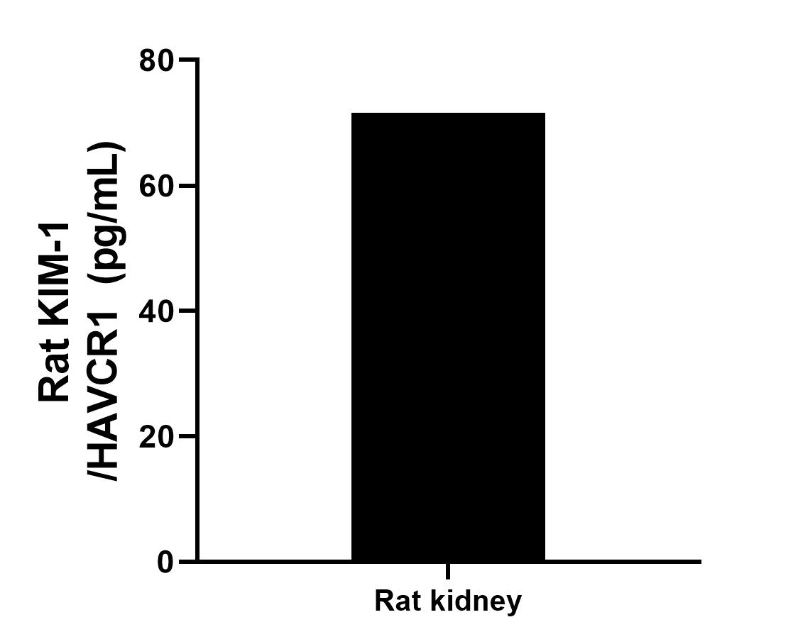 Organs from 2 rats were rinsed with PBS to remove excess blood, chopped into 1-2 mm pieces, homogenized in 5-10 mL of PBS in a tissue homogenizer, and stored at ≤ -80℃ 5 min. After two freeze-thaw cycles were performed to break the cell membranes, the homogenates were centrifuged for 5 minutes at 5000 x g to remove particulate. Homogenates from rat kideny tissue were assayed for rat KIM-1/HAVCR1 and measured 71.6 pg/mL.